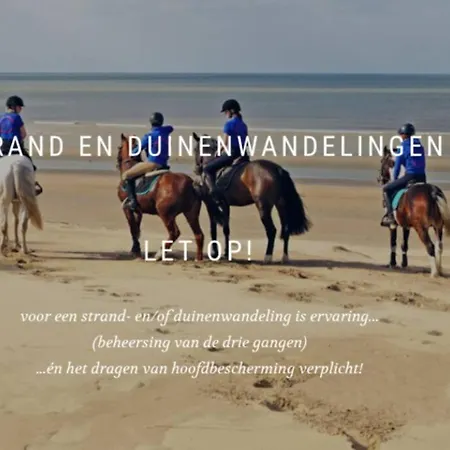 Friedolin Heeft Zicht Op Zee En Duinen, In Duinenreservaat, Hot Tub Met Jacuzzi En Sauna Met Zeezichten Te Villa