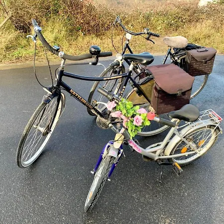 Friedolin Heeft Zicht Op Zee En Duinen, In Duinenreservaat, Hot Tub Met Jacuzzi En Sauna Met Zeezichten Te Willa