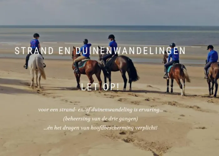 Friedolin Heeft Zicht Op Zee En Duinen, In Duinenreservaat, Hot Tub Met Jacuzzi En Sauna Met Zeezichten Te Villa