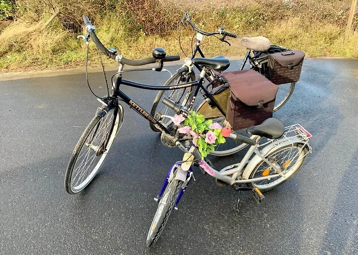 Friedolin Heeft Zicht Op Zee En Duinen, In Duinenreservaat, Hot Tub Met Jacuzzi En Sauna Met Zeezichten Te Villa