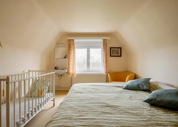 Villa Friedolin Heeft Zicht Op Zee En Duinen, In Duinenreservaat, Hot Tub Met Jacuzzi En Sauna Met Zeezichten Te